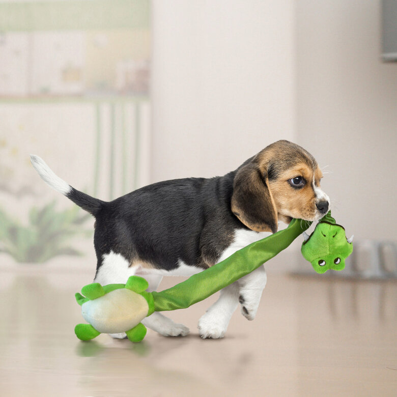 Kong Danglers Girafa de peluche para cães,  Imagem número 4 Kong Danglers Girafa de peluche para cães, , large Imagem número 4